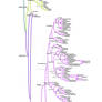 Phylogeny of commonly eaten produce items