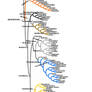 Phylogeny of living birds