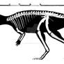 Yinlong downsi skeletal reconstruction