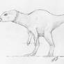Haya griva life restoration