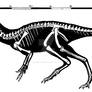 Heterodontosaurus tucki skeletal restoration