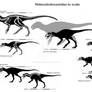 Heterodontosauridae to scale