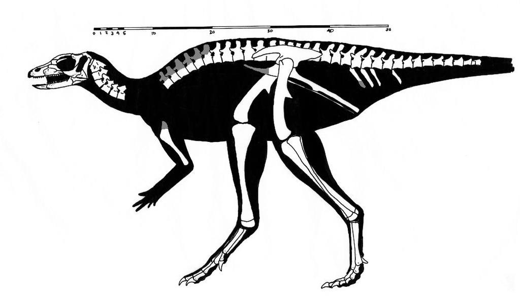 Jeholosaurus shangyuanensis skeletal reconstructio by ornithischophilia ...