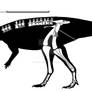 Thescelosaurus assiniboiensis skeletal reconstruct