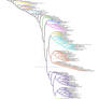 Phylogeny of Ray Finned Fish Betancur-R et al 2013