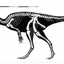 Hexinlusaurus multidens Skeletal Restoration