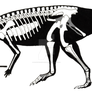 Talenkauen santacrucensis skeletal restoration