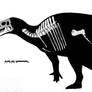 Lanzhousaurus skeletal