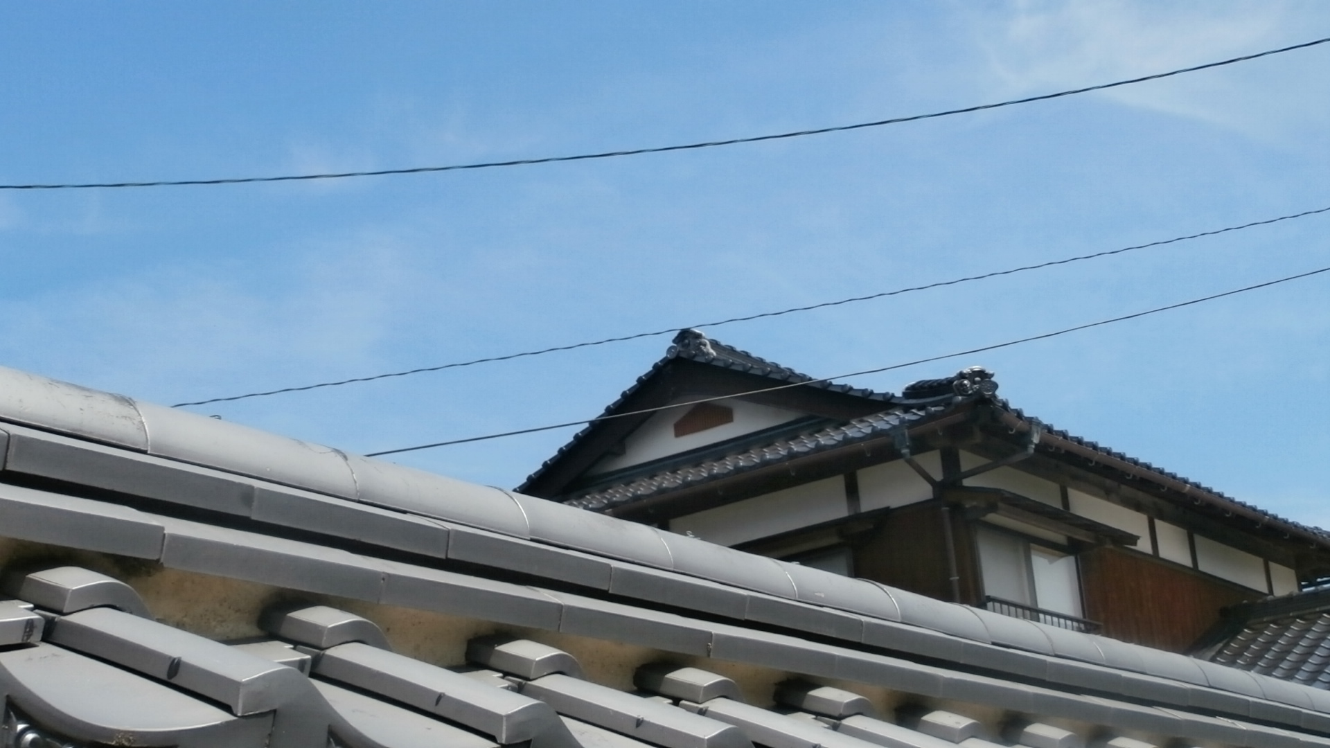 Threads on the roofs