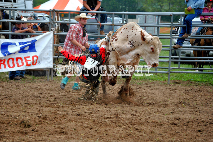 Bull Riding Deviantart Bull Riding II by 6deathchild6 on DeviantArt