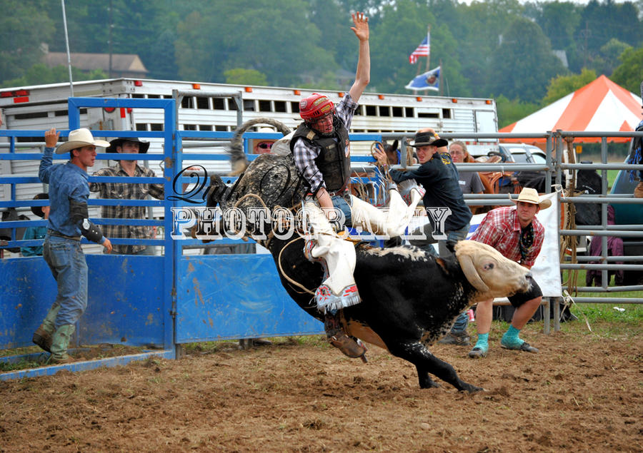 Bull Riding Deviantart Bull Riding II by 6deathchild6 on DeviantArt