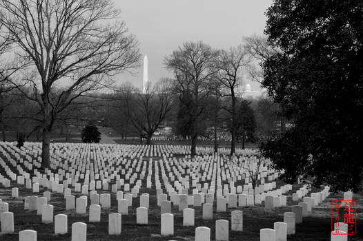 View of Washington From Arlington