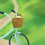 Bike Trip