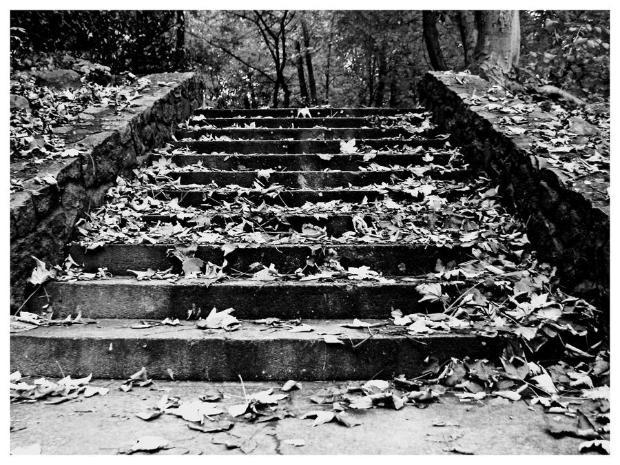 stairs. black and white.