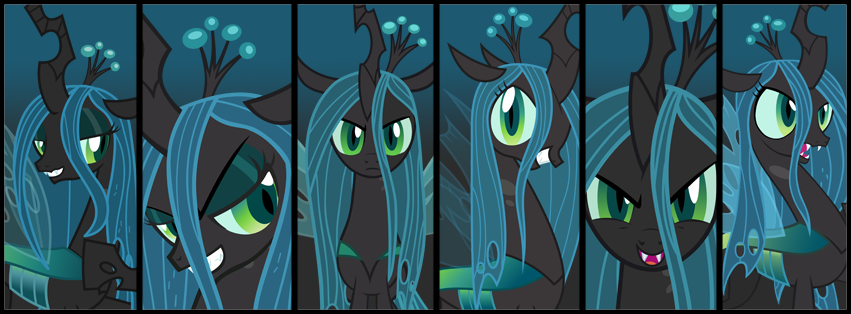 Chrysalis Facebook Banner