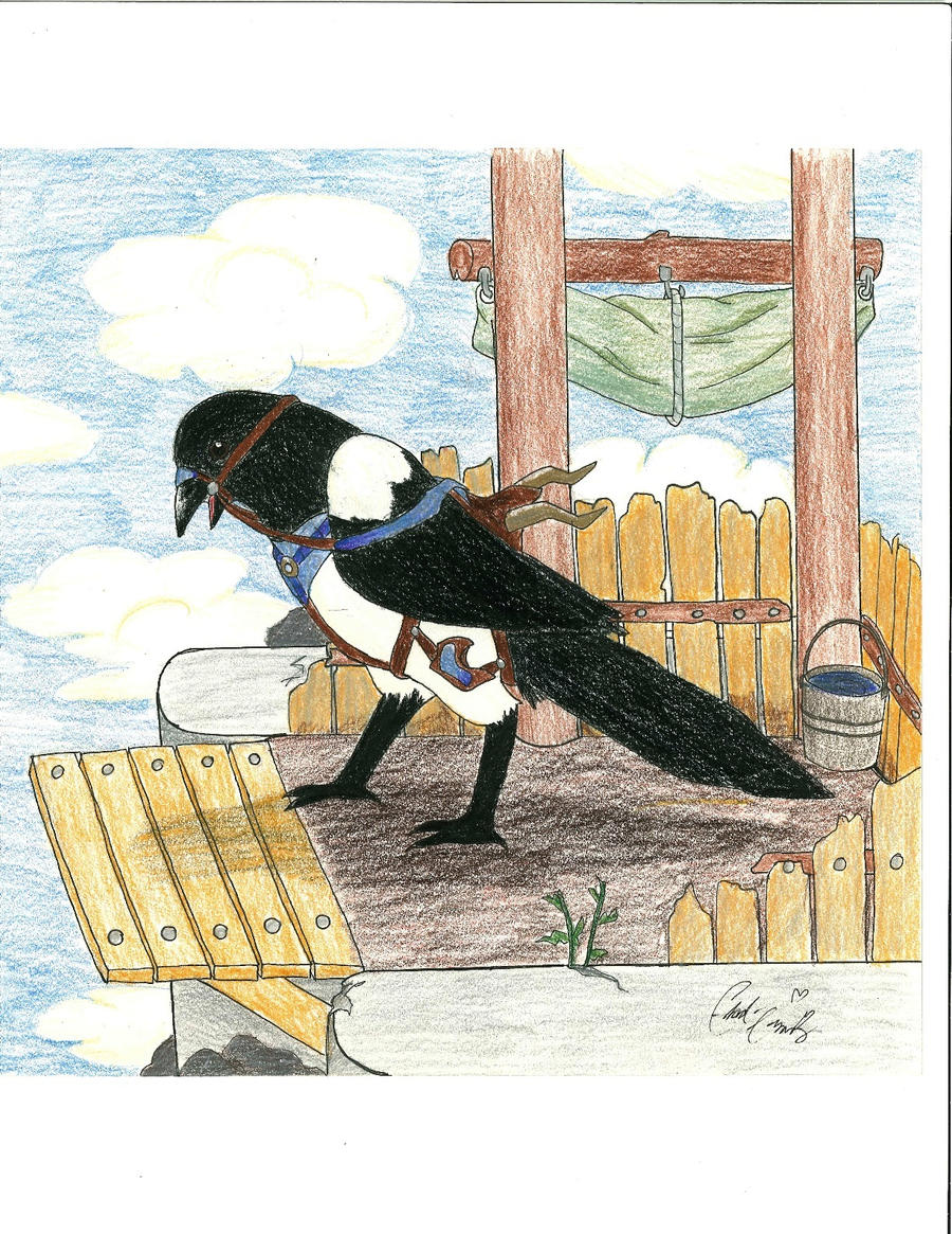 Magpie with saddle