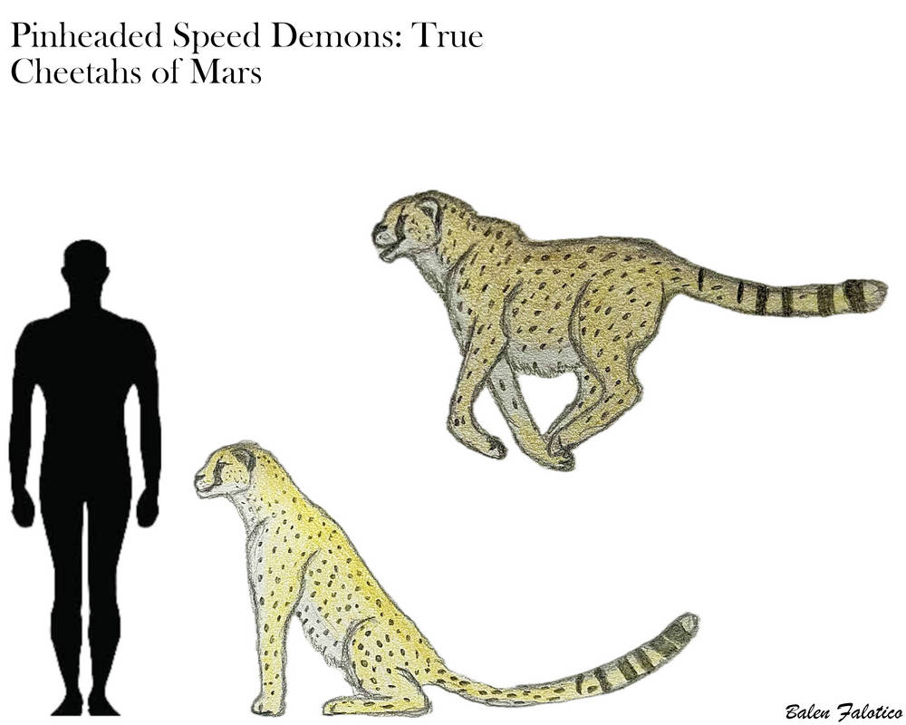Pinheaded Speed Demons: True Cheetahs of Mars by BalenFalotico2004 on ...