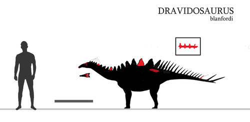 Dravidosaurus skeletal