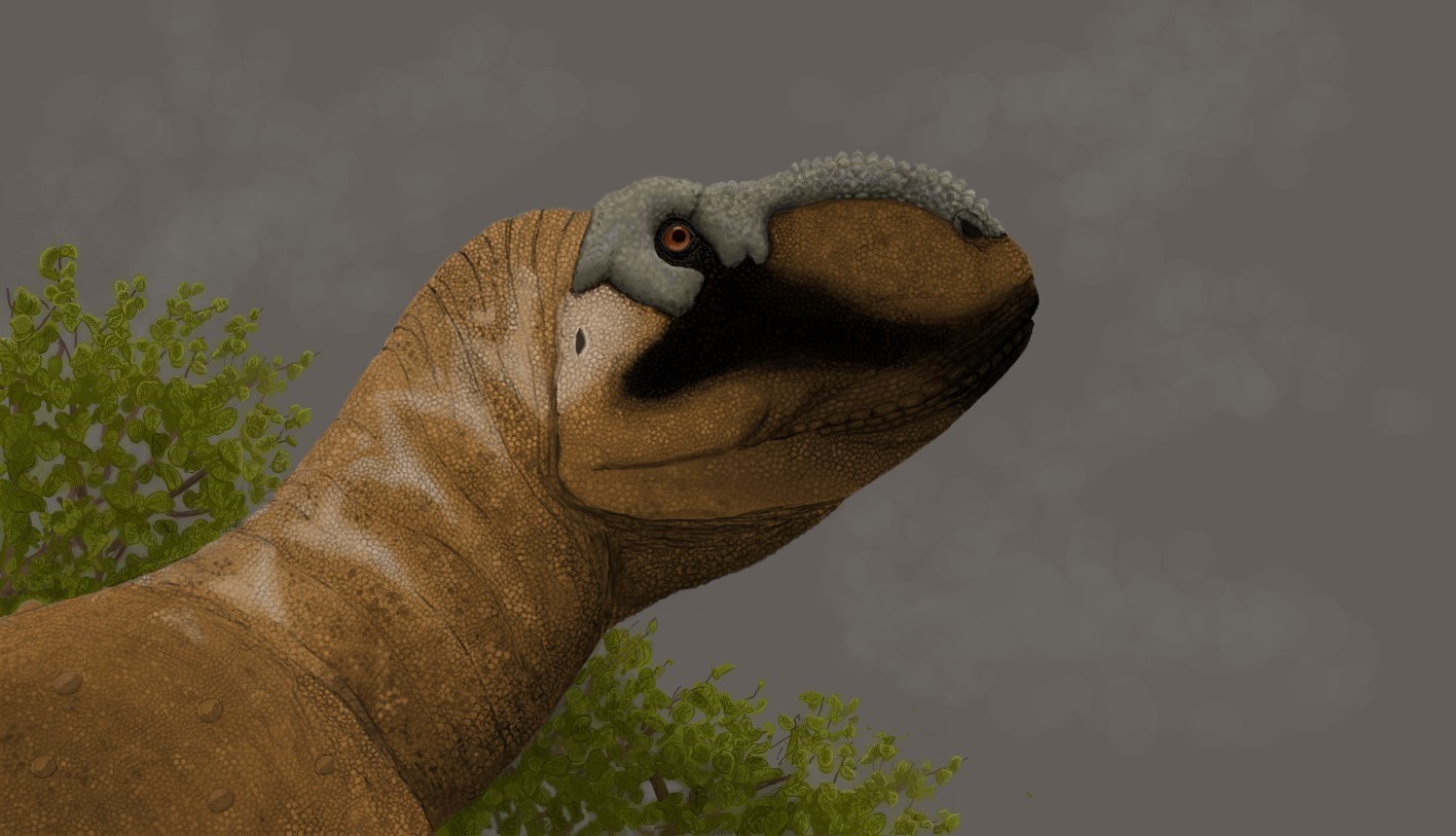 Monsoon season - Rahiolisaurus gujaratensis by DaDinoNerdBoi on DeviantArt