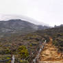 Mount Kinabalu 02