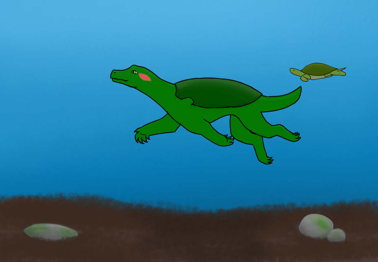 River the TerrapinShell by RedEaredTerrapin on DeviantArt