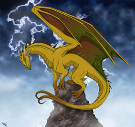 Storm Dragon