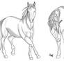 Horse Sketches