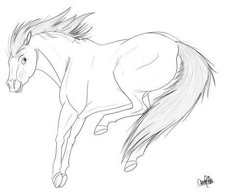 Horse- FREE Lineart