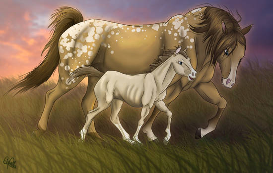 Mother and Foal-colored
