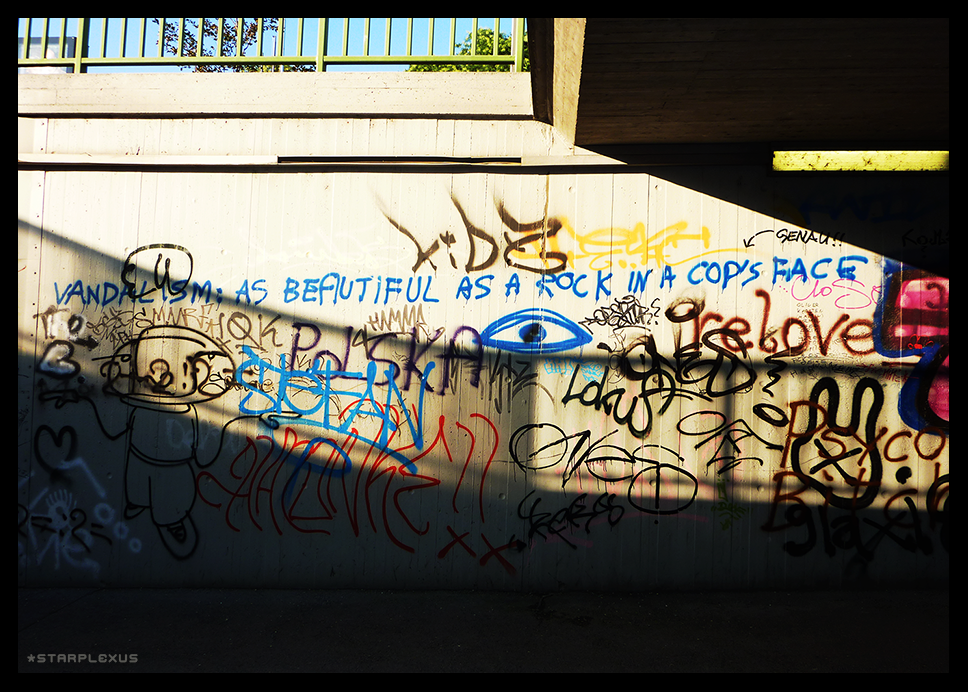 Vandalism by starplexus