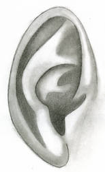 Realism - Ear