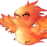 Annas Phoenix