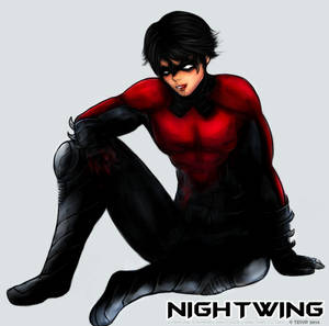 Nightwing Red