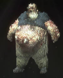 Fat Voxel