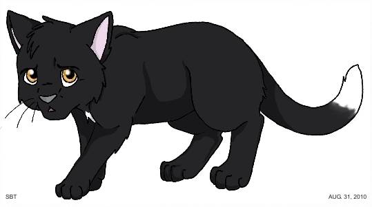 Warriors Cats - Ravenpaw by AnimalLover4Ever on DeviantArt