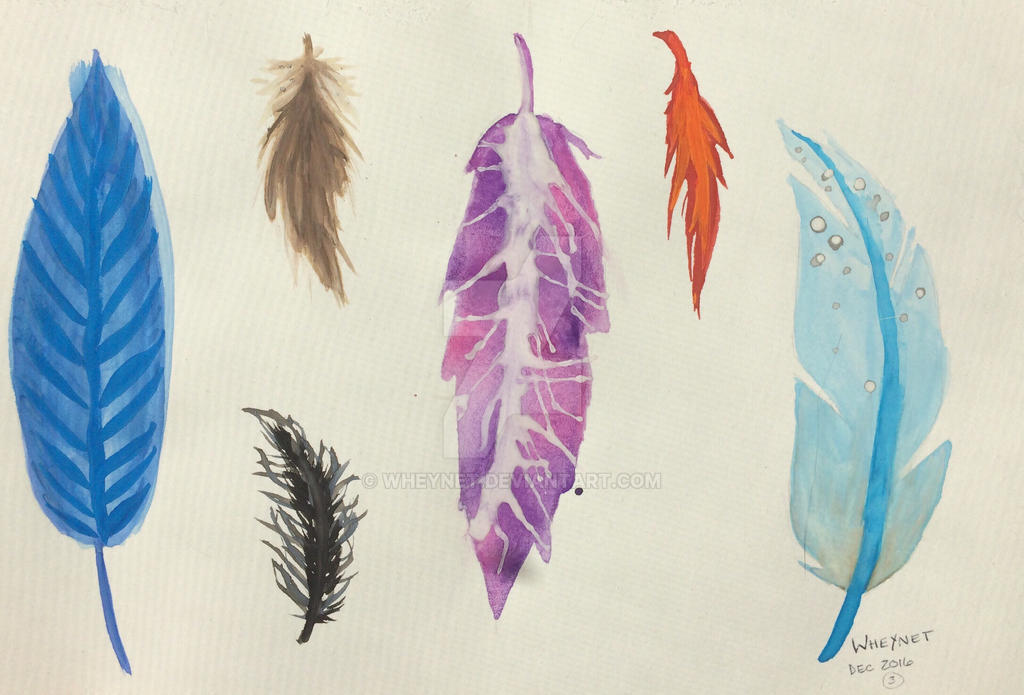 Feathers