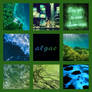 Algae Moodboard