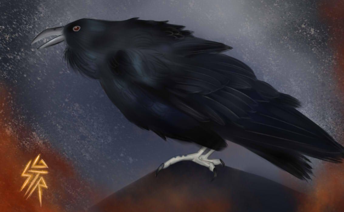 The Crow by Steklogitara on DeviantArt