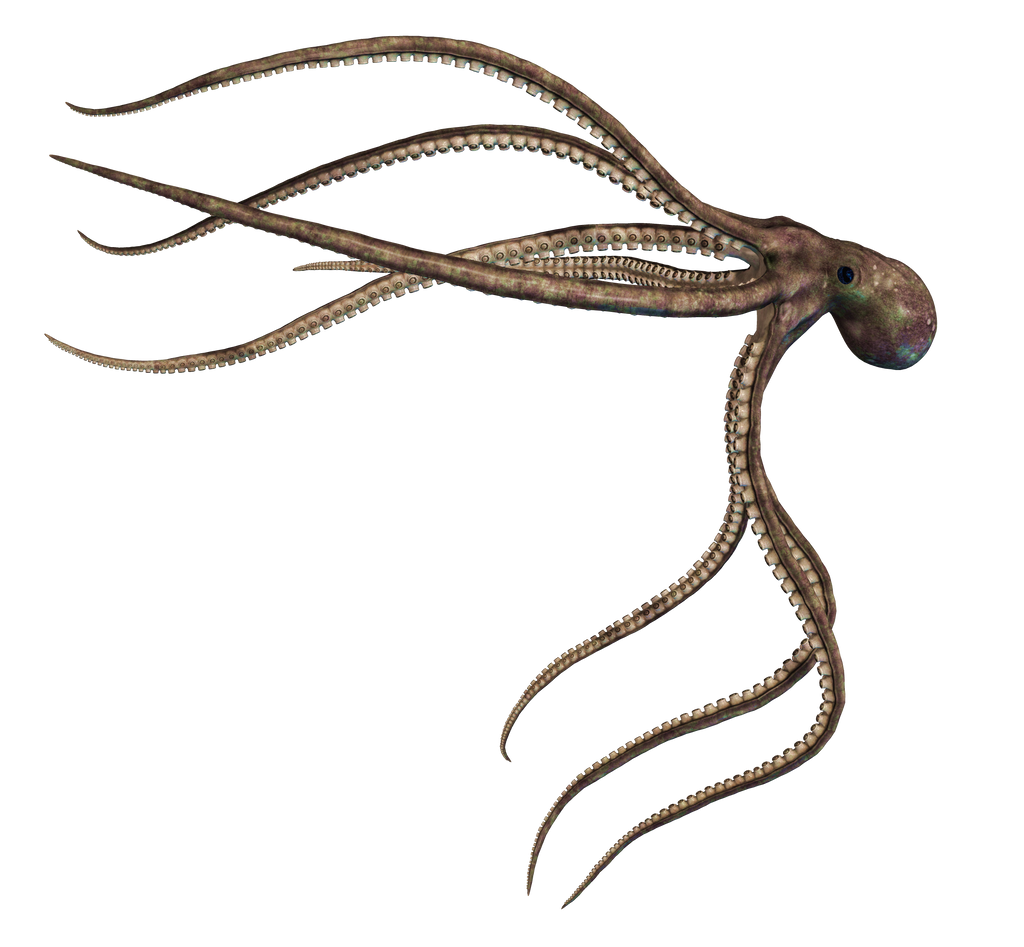 Giant Of The Deep  PNG Stock 03