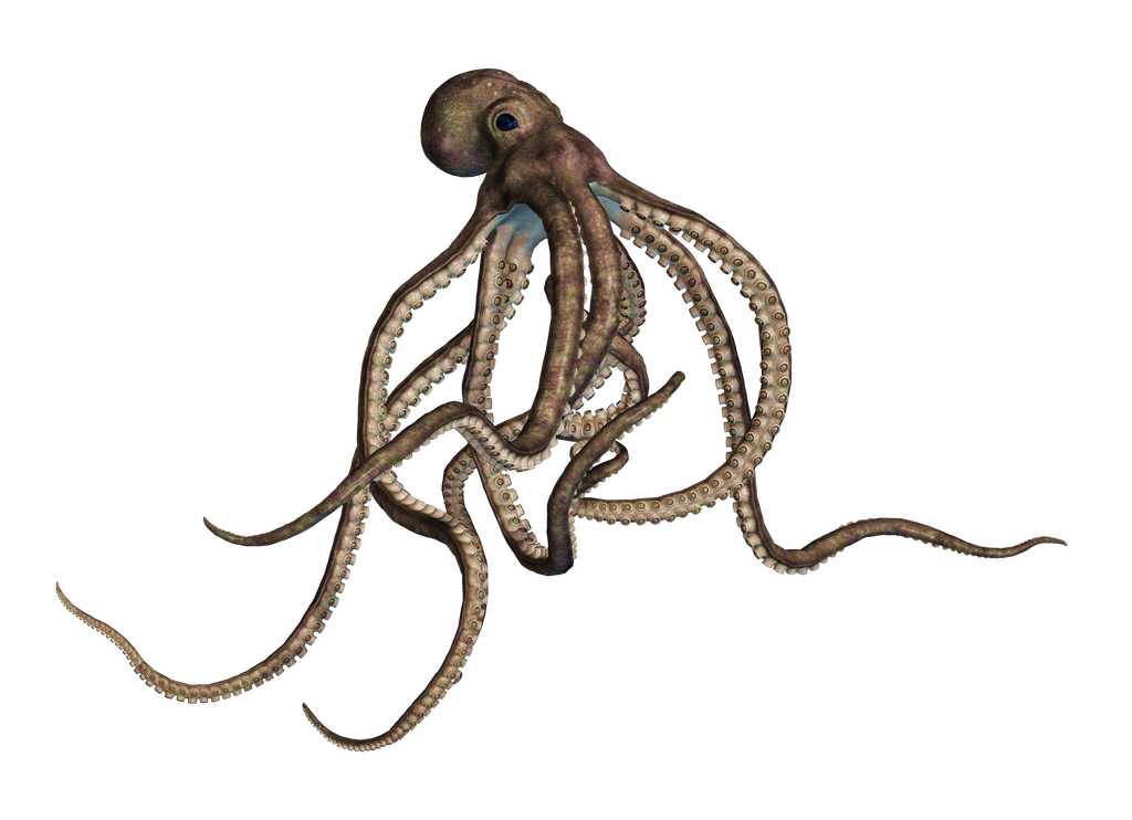 Giant Of The Deep PNG  Stock 02