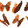 Butterflies 1 PNG Stock