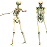 Spooky Skeleton 03 PNG Stock