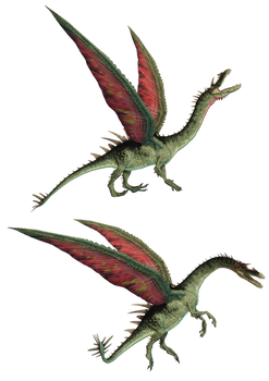 Dragon 11 PNG Stock