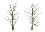 Bare Tree 01 PNG Stock