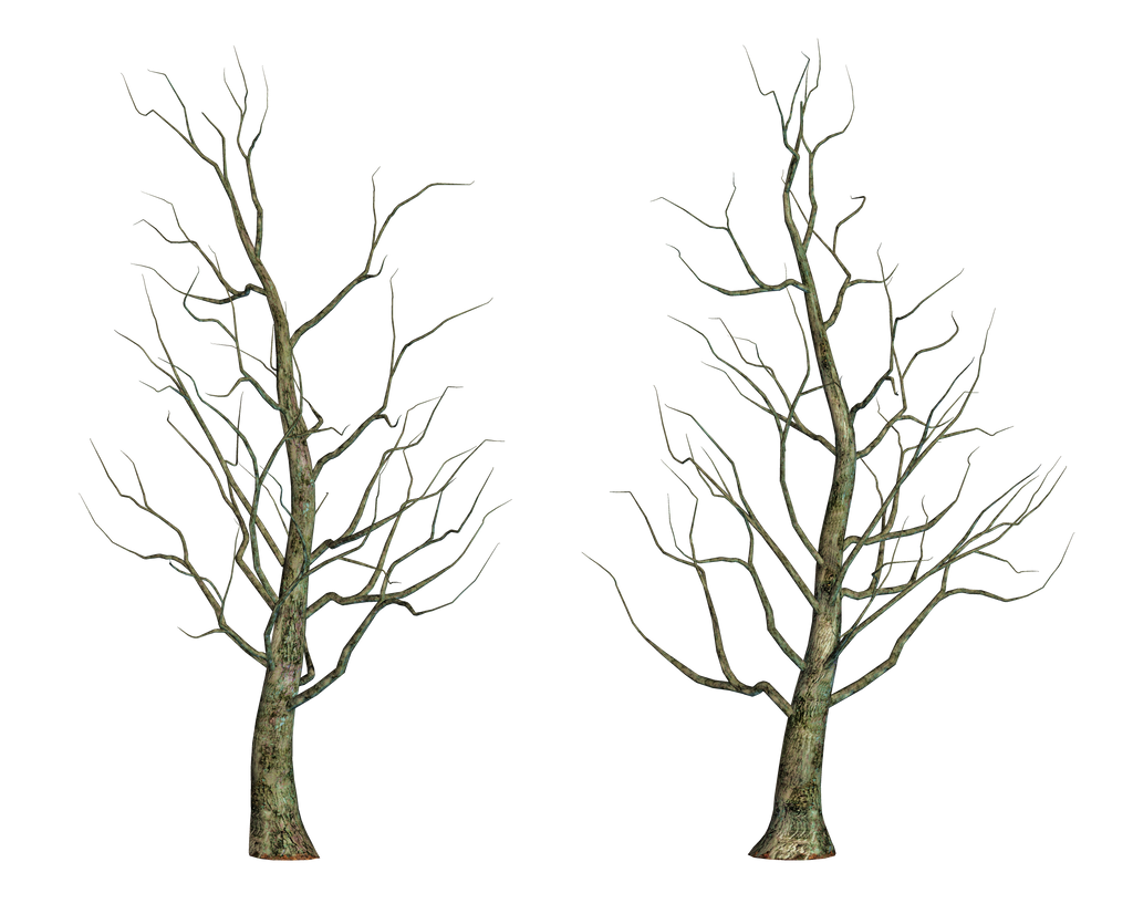 Bare Tree 02 PNG Stock