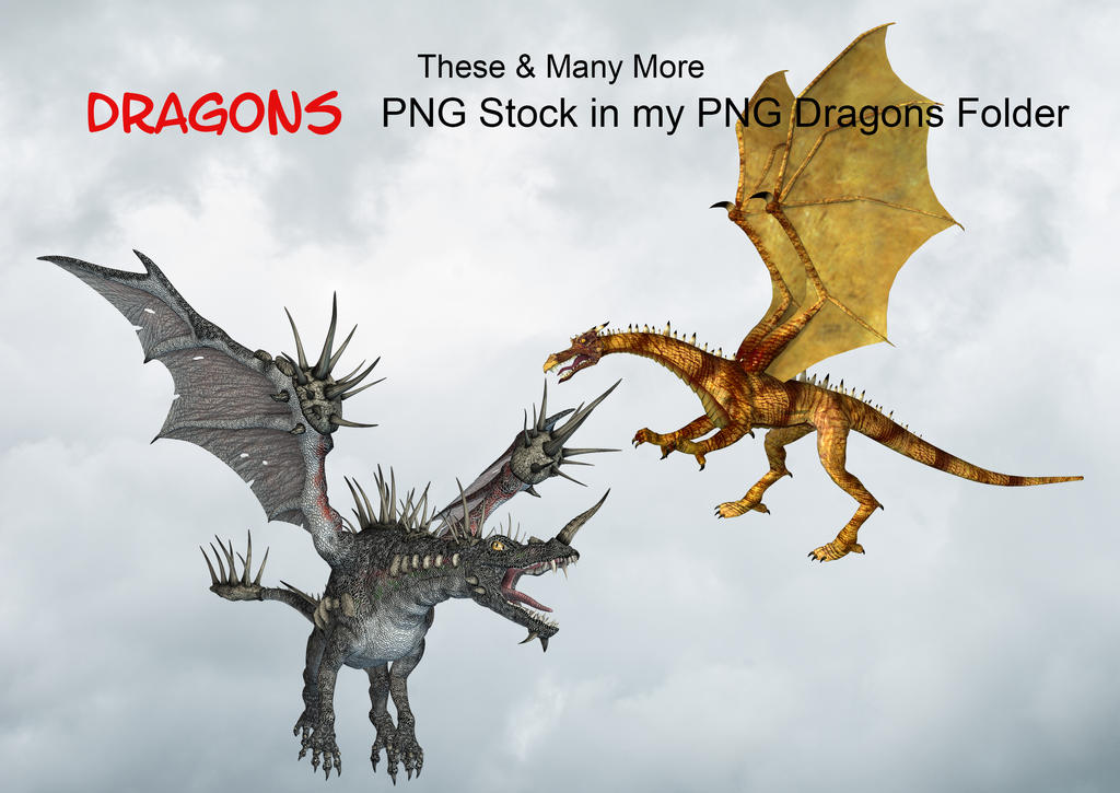 Dragon Reworked Png These And Many More In My PNG Dragons Stock Folder by Roy3D on DeviantArt
