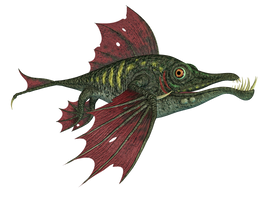 Dragon Fish PNG Stock