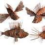 Lion Fish PNG Stock