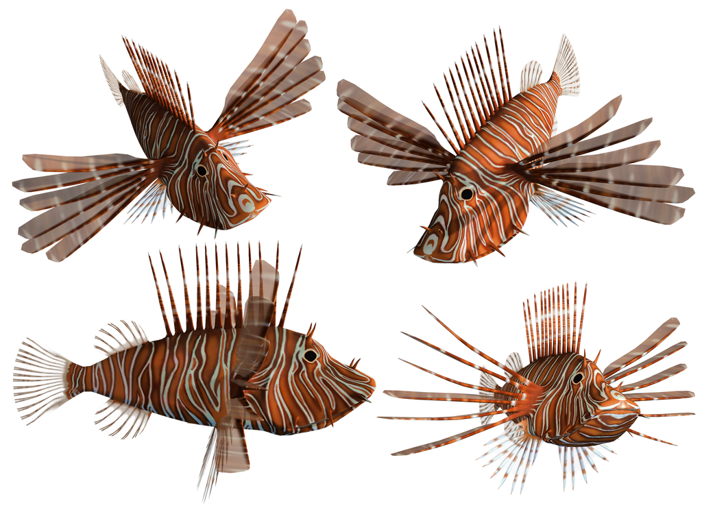 Lion Fish PNG Stock