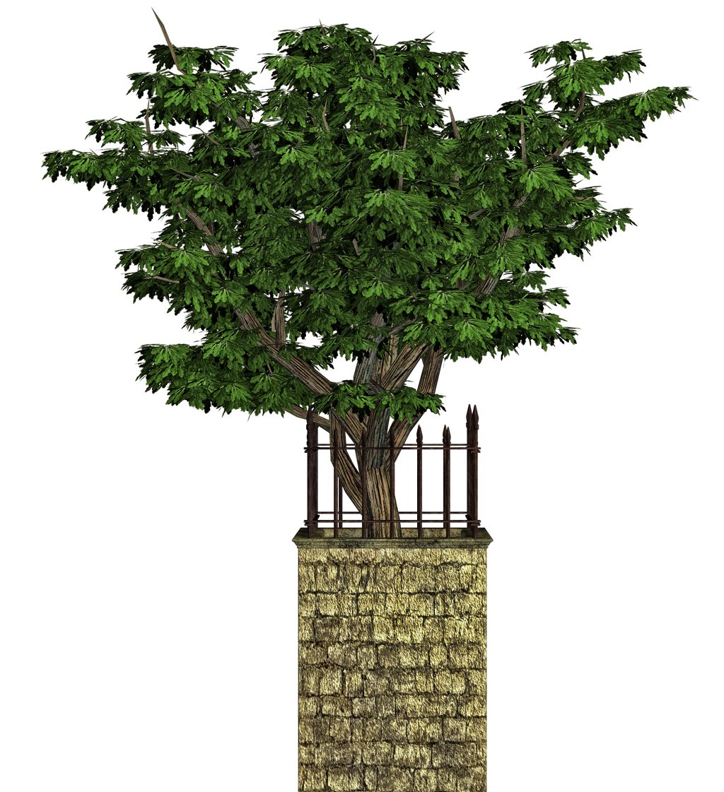 Tree And Base PNG Stock